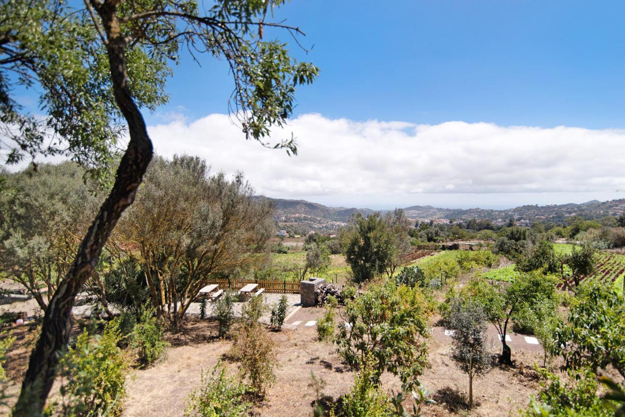La Casita De La Orilla De Penate Villa Santa Brígida Exteriör bild