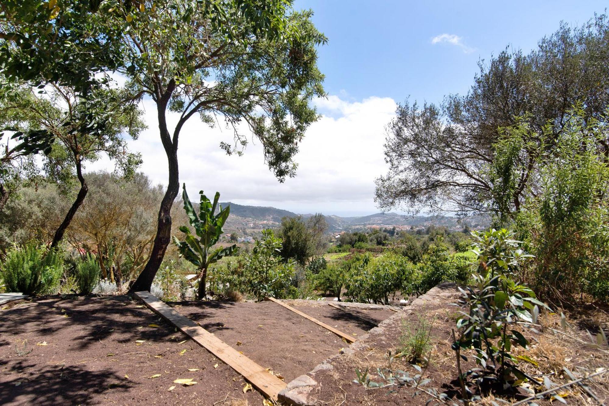 La Casita De La Orilla De Penate Villa Santa Brígida Exteriör bild